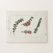 Amerikaanse kruidbes (Vaccinium Macrocarpon) Legpuzzel (Horizontaal)