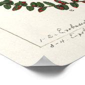 Amerikaanse kruidbes (Vaccinium Macrocarpon) Poster (Hoek)