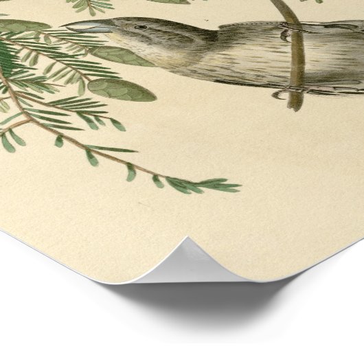 Amerikaanse kruisvaarder poster (Hoek)