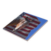 Amerikaanse kwartpaarden en -vlag - patriottisch tegeltje (Zijkant)