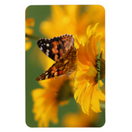 Amerikaanse Lady Butterfly Magneet