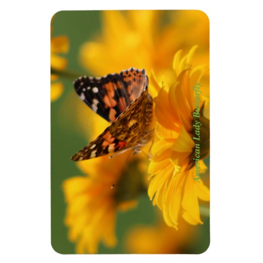 Amerikaanse Lady Butterfly Magneet (Verticaal)