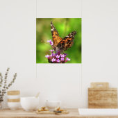 Amerikaanse Lady Butterfly Poster (Keuken)
