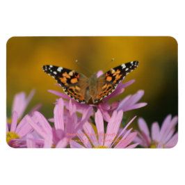 Amerikaanse Lady Butterfly Vaste Clara Curtis 4x6 Magneet
