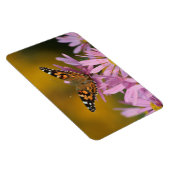 Amerikaanse Lady Butterfly Vaste Clara Curtis 4x6 Magneet (Rechterzijde)