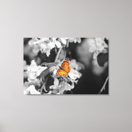 Amerikaanse Lady Butterfly — Verdraaid Canvas — Af