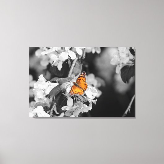 Amerikaanse Lady Butterfly — Verdraaid Canvas — Af (Voorkant)