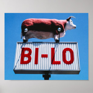 -Amerikaanse landschap Poster