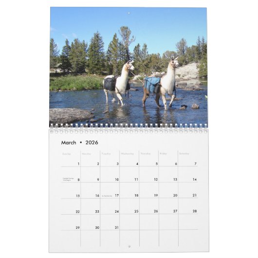 Amerikaanse Llama 2024 Kalender (Mar 2026)