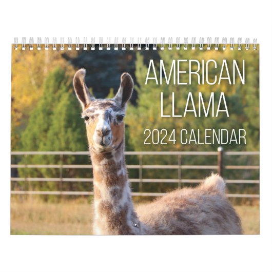 Amerikaanse Llama 2024 Kalender (Hoes)