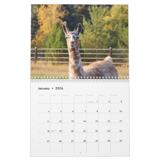 Amerikaanse Llama 2024 Kalender (Jan 2026)