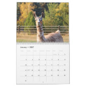 Amerikaanse Llama 2024 Kalender (Jan 2027)