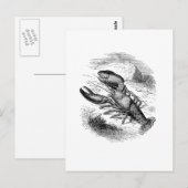 Amerikaanse Lobster Briefkaart (Voorkant / Achterkant)