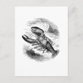 Amerikaanse Lobster Briefkaart (Voorkant)