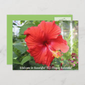 Amerikaanse Maagdeneilanden - Hibiscus Briefkaart (Voorkant / Achterkant)