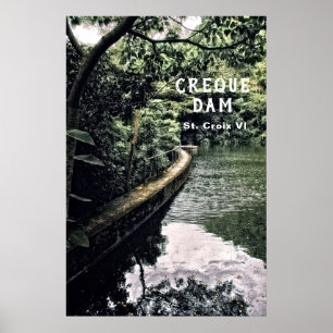 Amerikaanse Maagdeneilanden Regenwoud Creque Dam U Poster