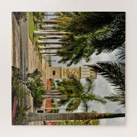 Amerikaanse Maagdeneilanden St. Croix Palm Trees T Legpuzzel (Horizontaal)