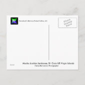 Amerikaanse Maagdeneilanden Vlag Mocko Jumbies USV Briefkaart (Achterkant)