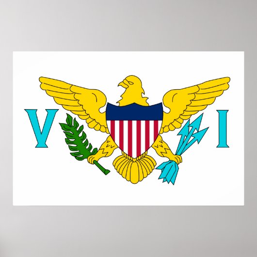 Amerikaanse Maagdeneilanden, vlag van de Verenigde Poster (Voorkant)