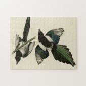 Amerikaanse Magpie uit de Amerikaanse vogels van A Legpuzzel (Horizontaal)