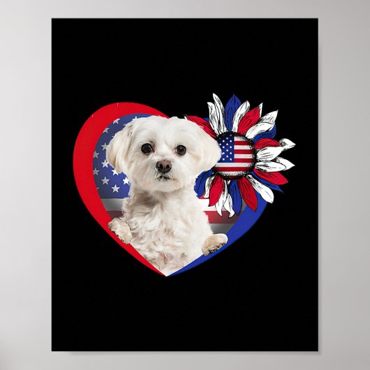 Amerikaanse Maltese hond Heart 4 juli VS vlag Pa Poster (Voorkant)