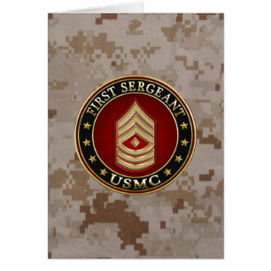 Amerikaanse mariniers: Eerste brigadier (USMC 1stS