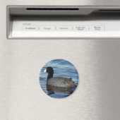 Amerikaanse Meerkoet Magneet (Insitu (Vaatwasser))