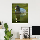 Amerikaanse Meerkoet Weerspiegeling Watervogel Nat Poster (Thuiskantoor)
