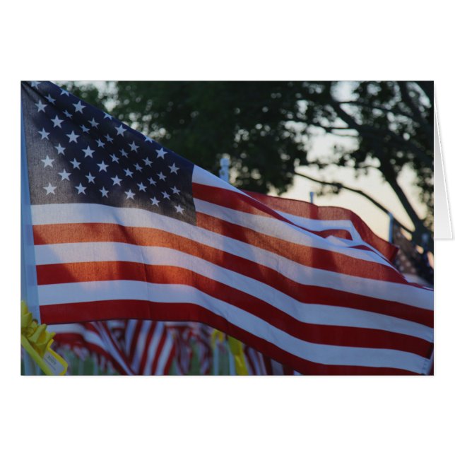 Amerikaanse Memorial Day Flags Waving in Wind (Voorkant Horizontaal)
