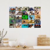 AMERIKAANSE MILITAIRE WERKENDE HONDEN "MONTAGE" POSTER (Keuken)