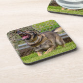 AMERIKAANSE MILITAIRE WERKHOND BIER ONDERZETTER (Linkerzijde)