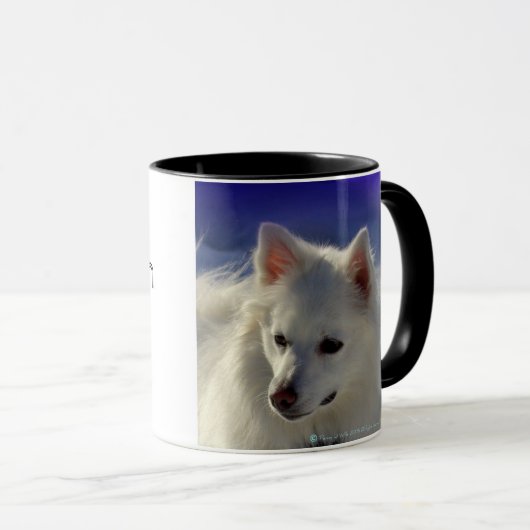 Amerikaanse Mok Eskimo (Voorkant rechts)