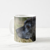 Amerikaanse Mok Staffordshire Terrier (Voorkant links)