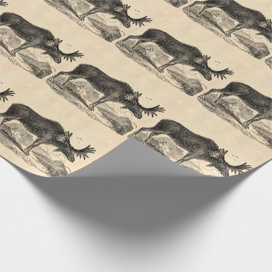  Amerikaanse Moose Illustration Sjabloon 1800s Cadeaupapier (Hoek)