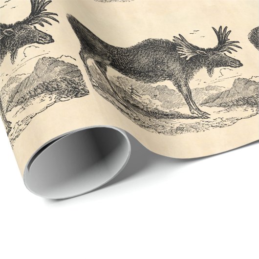  Amerikaanse Moose Illustration Sjabloon 1800s Cadeaupapier (Rol Hoek)