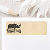  Amerikaanse Moose Illustration Sjabloon 1800s Etiket (Insitu)