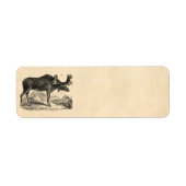  Amerikaanse Moose Illustration Sjabloon 1800s Etiket (Voorkant)