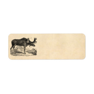  Amerikaanse Moose Illustration Sjabloon 1800s Etiket