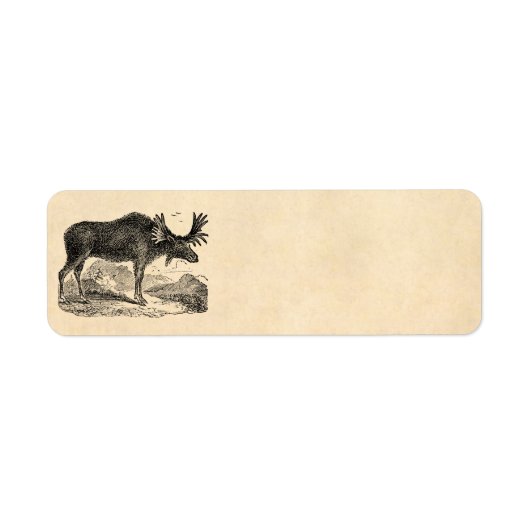  Amerikaanse Moose Illustration Sjabloon 1800s Etiket (Voorkant)