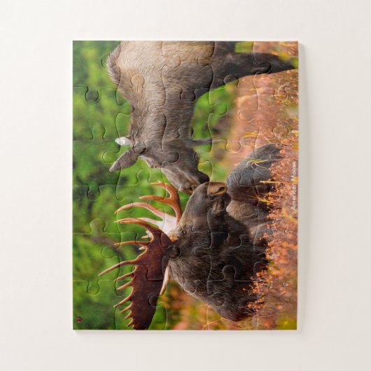 Amerikaanse Moose Legpuzzel (Verticaal)