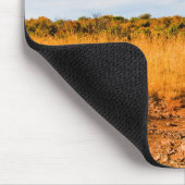 Amerikaanse Muismat voor het zuidwesten van het la (Hoek)