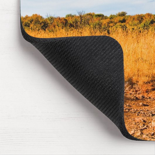 Amerikaanse Muismat voor het zuidwesten van het la (Hoek)