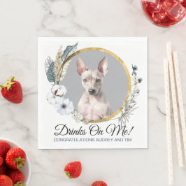 Amerikaanse Naakte Terrier servetten met foto
