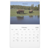 Amerikaanse National Parks Calendar Kalender (Feb 2026)