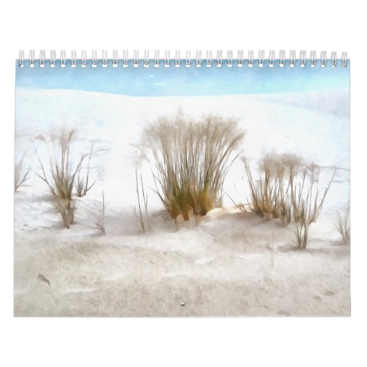 Amerikaanse nationale parken 21 mos kalender (Hoes)
