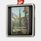 Amerikaanse nationale parken metalen ornament (Links)