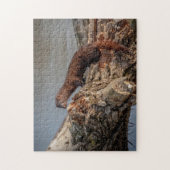 Amerikaanse nerts legpuzzel (Verticaal)