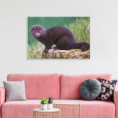 Amerikaanse nerts verpakt canvas (Insitu (Woonkamer))