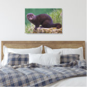 Amerikaanse nerts verpakt canvas afdruk (Insitu (Slaapkamer))