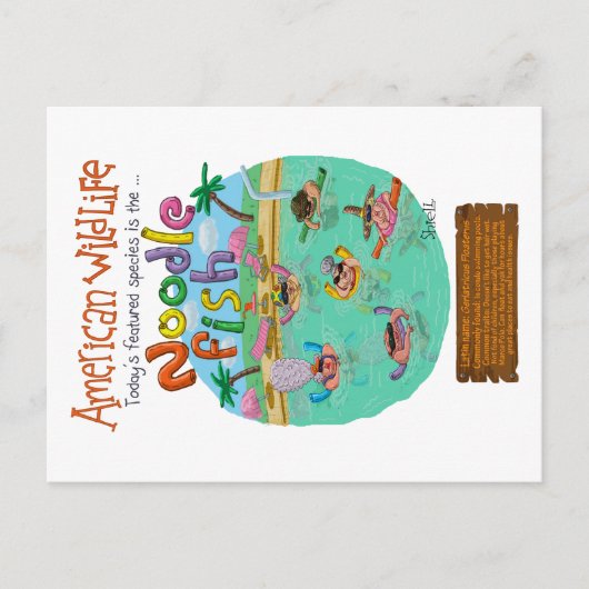 Amerikaanse noordvis briefkaart (Voorkant)